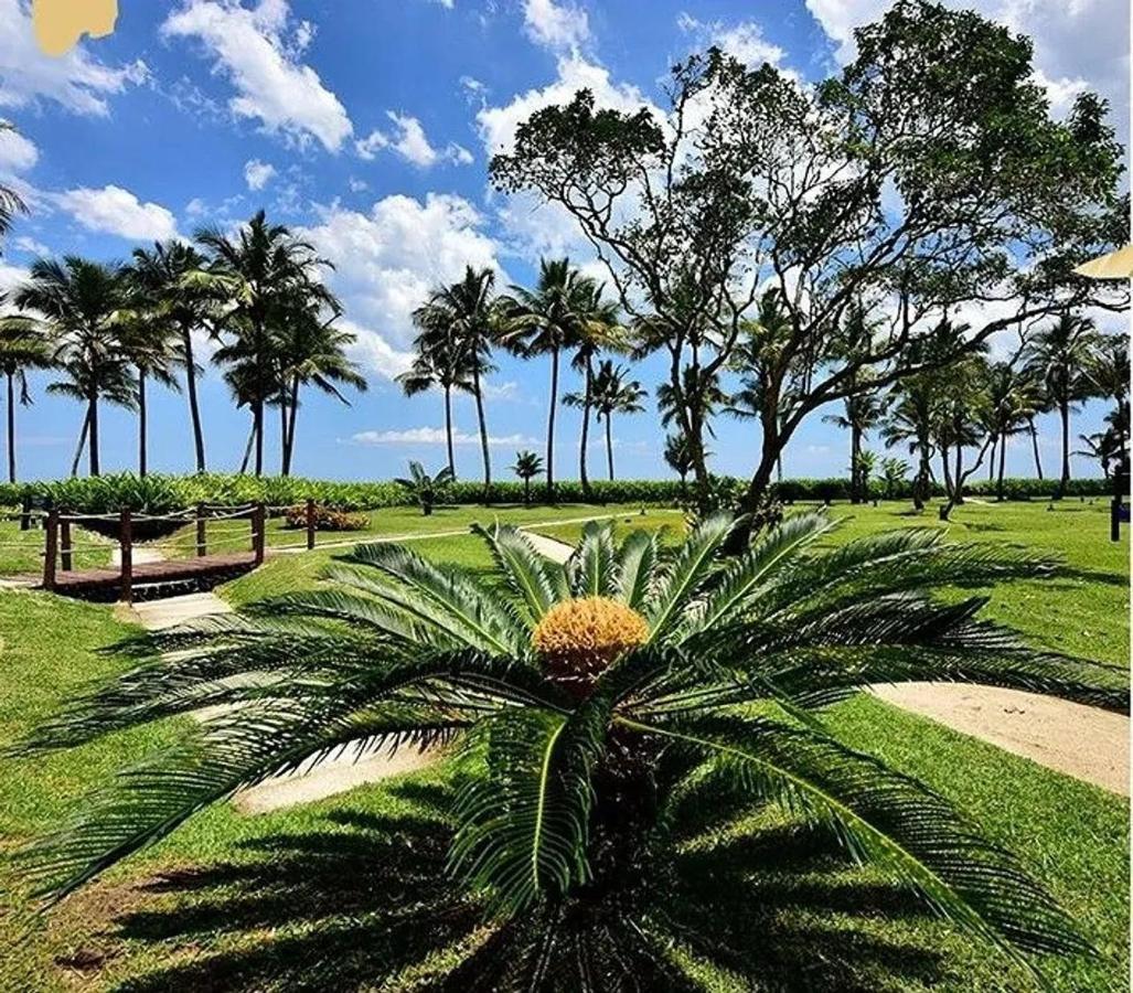 Home 8 I Apto Com Vista Para Mar بيرتيوغا المظهر الخارجي الصورة